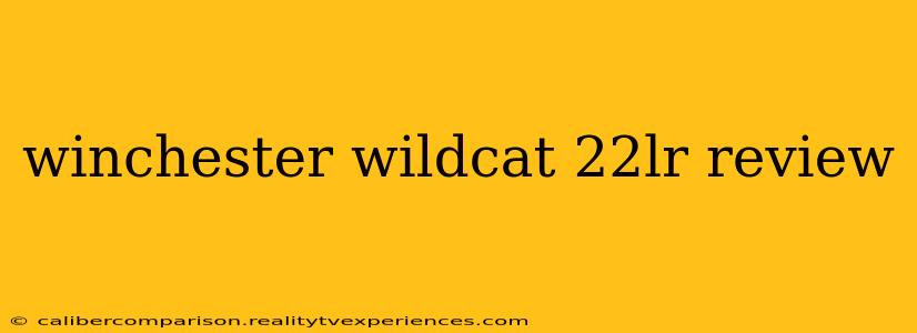 winchester wildcat 22lr review