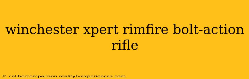 winchester xpert rimfire bolt-action rifle