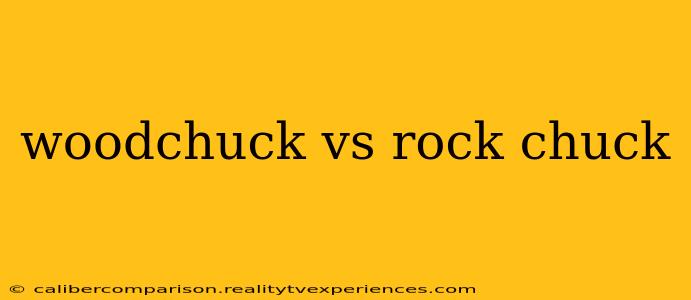 woodchuck vs rock chuck