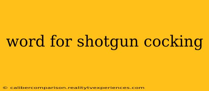 word for shotgun cocking