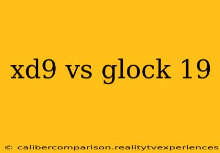 xd9 vs glock 19