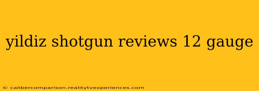 yildiz shotgun reviews 12 gauge